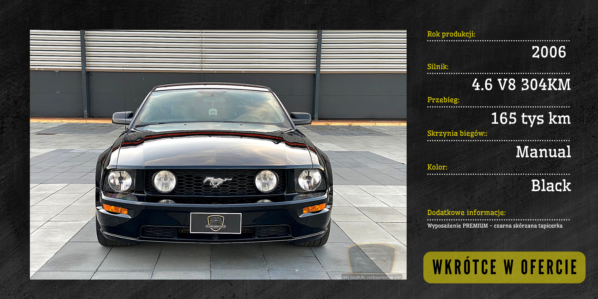 Oferta Mustangów na www-4
