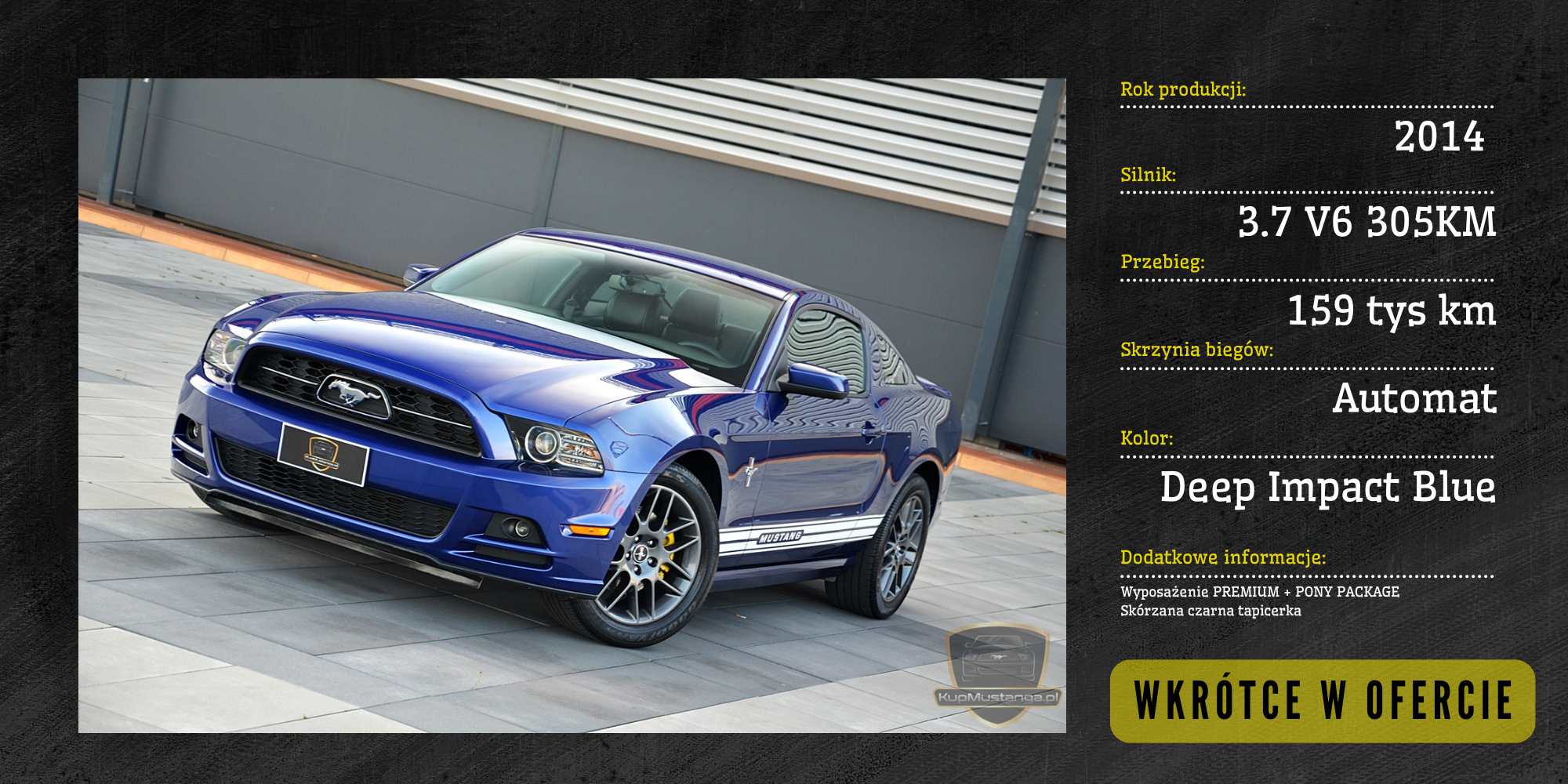 Oferta Mustangów na www-5