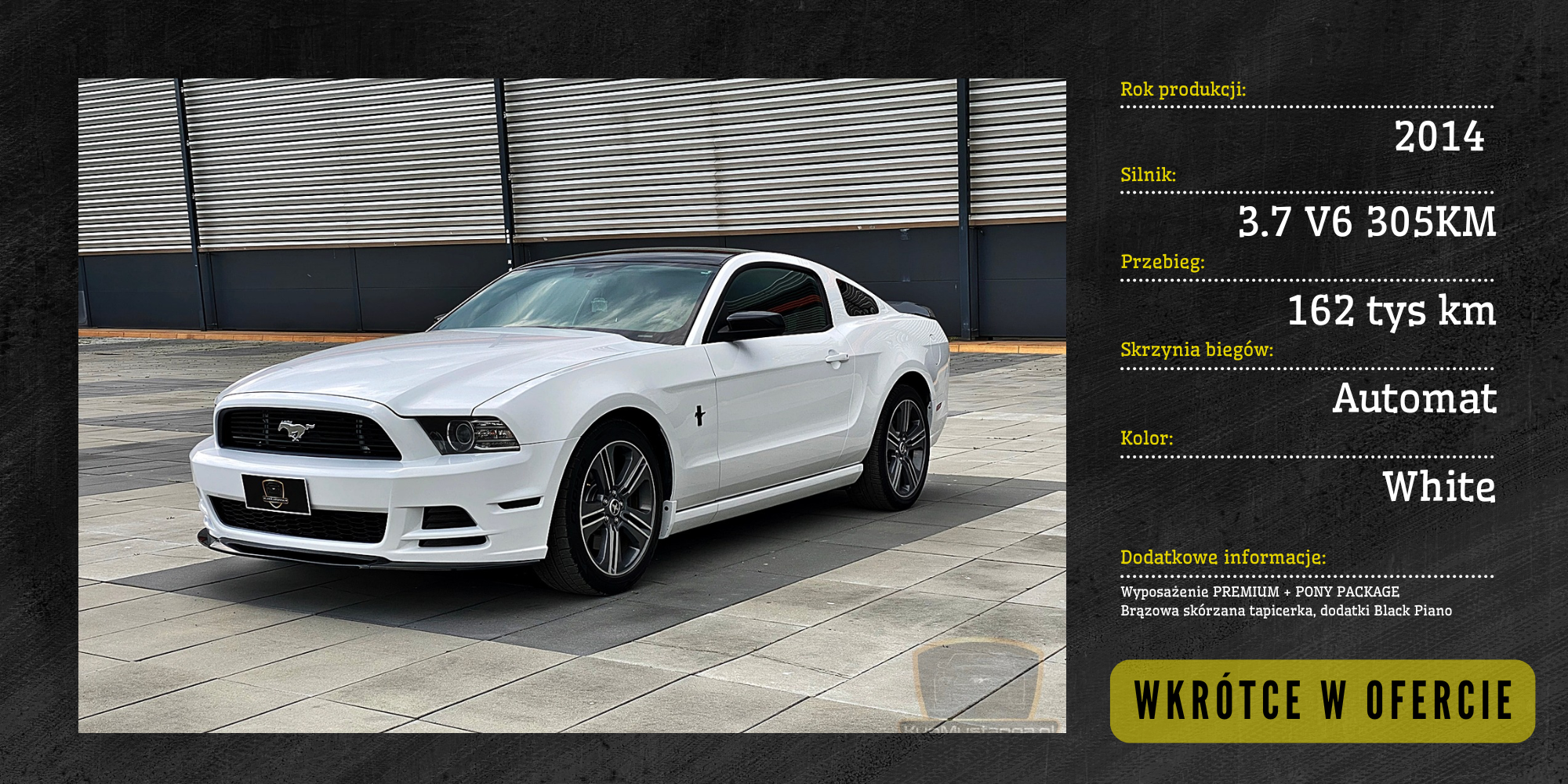 Oferta Mustangów na www-7